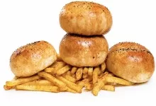 MR TERRA BURGER