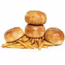 MR TERRA BURGER